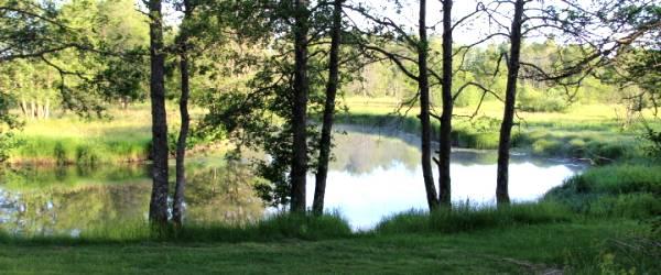 Photo of Ätrans huvudfåra (Buttorp-Ljungafors FVOF)