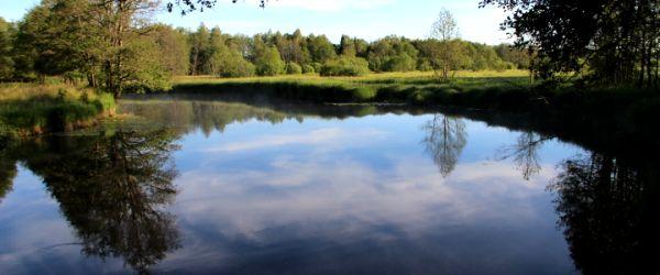 Ätrans huvudfåra (Buttorp-Ljungafors FVOF) - Image 2