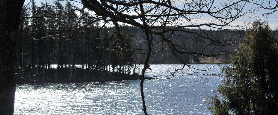 Långsvan och Lillsvan - Image 5