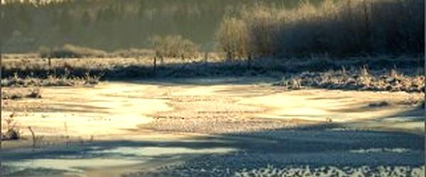 Husby-Hedemora FVOF - Image 3