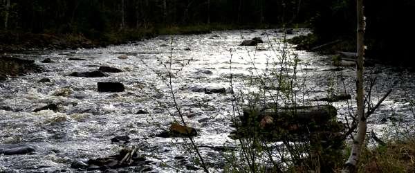 Tärsjön, Järån, Järsjön, Ödingen - Image 17