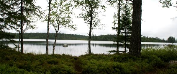 Tärsjön, Järån, Järsjön, Ödingen - Image 5