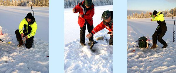 Tärsjön, Järån, Järsjön, Ödingen - Image 13