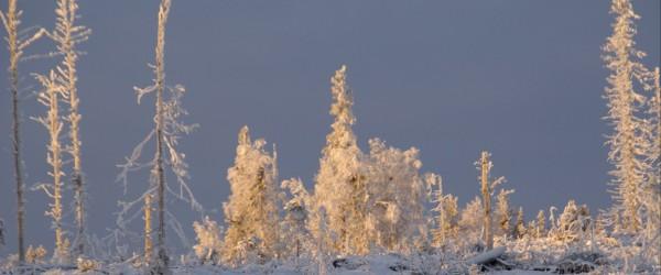 Tärsjön, Järån, Järsjön, Ödingen - Image 16