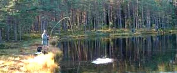 Mörtsjön, Skräcklagölen, Gårdsjön mfl - Image 2