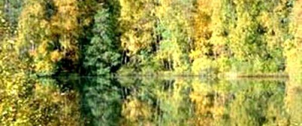 Mörtsjön, Skräcklagölen, Gårdsjön mfl - Image 3