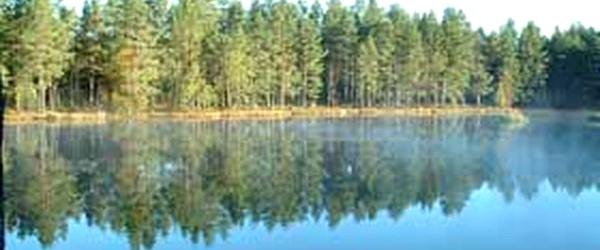 Mörtsjön, Skräcklagölen, Gårdsjön mfl - Image 4