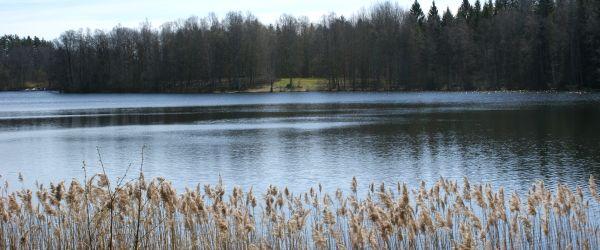Strånnesjön, Trollsjön - Image 1