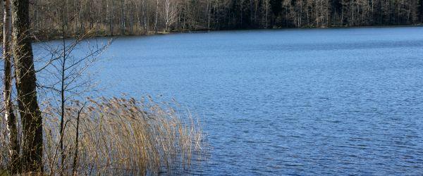 Strånnesjön, Trollsjön - Image 2