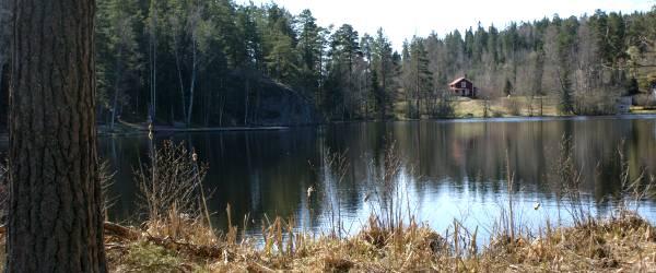 Strånnesjön, Trollsjön - Image 3