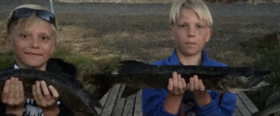 Brearedssjön, Simlången och Gyltigesjön, Töddesjön - Image 4