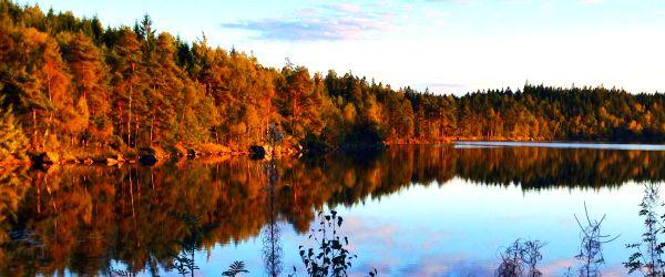 Tjärnesjön - Image 2