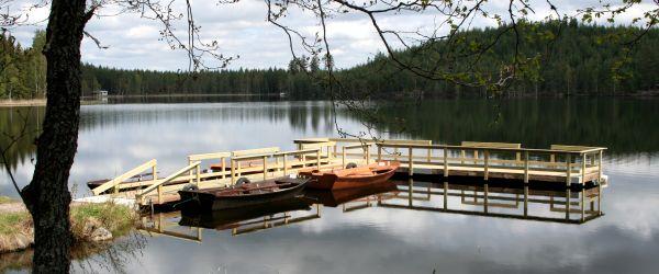 Östra Nyasen - Image 1