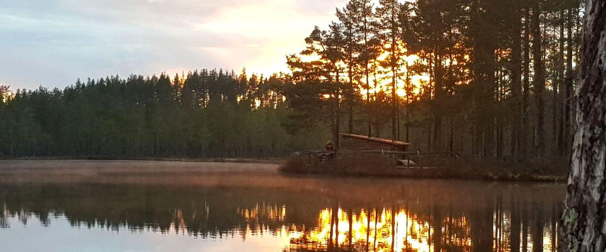 Abborrtjärn