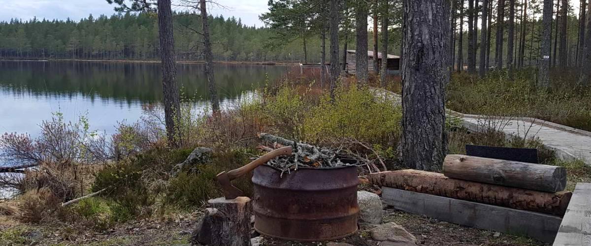 Abborrtjärn