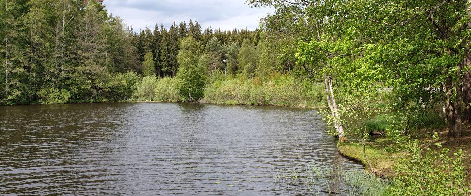Föreda Kvarndamm - Image 2