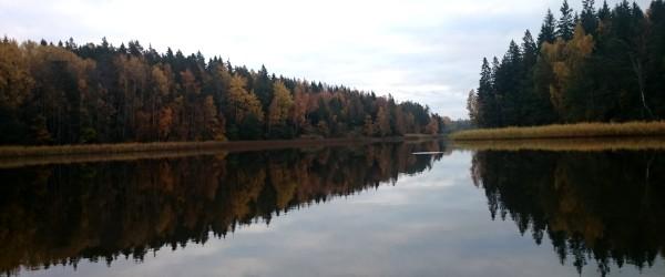 Muskan, Fjättern - Image 2