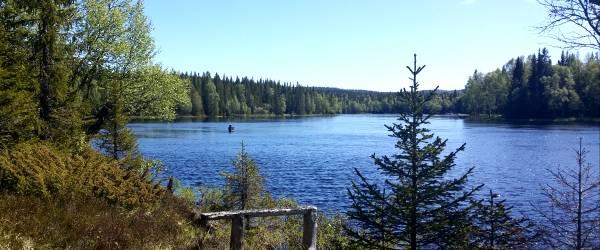 Västra Gevsjön, Tångböleströmmen - Image 2