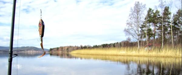 Florsjön, Bocksjön, Stora Örtjärn, Lilla Örtjärn, Acktjärn, Igeltjärn Kyrkbyn, Igeltjärn Näset mfl - Image 5