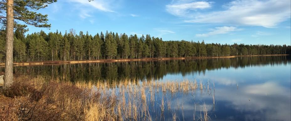 Gnarps Fiskeområde - Image 3