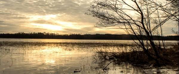 Exen, Bolmån - Image 1