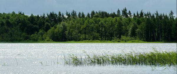 Exen, Bolmån - Image 3