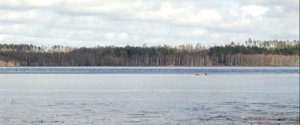 Exen, Bolmån - Image 5