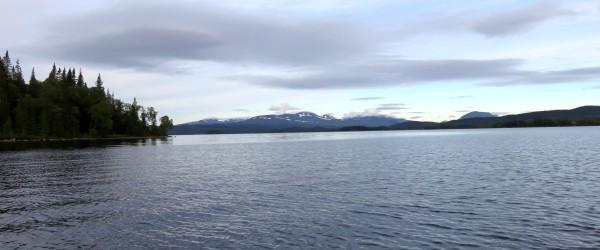 Photo of Juvuln