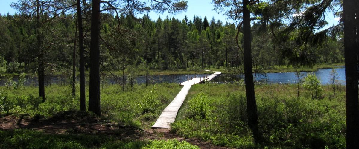 Ängebytjärnet - Image 2