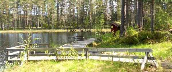 Testeboån, Stora Rönnåstjärn, Lilla Mörttjärn m fl vatten - Image 4