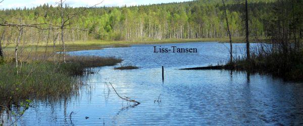 Testeboån, Stora Rönnåstjärn, Lilla Mörttjärn m fl vatten - Image 6