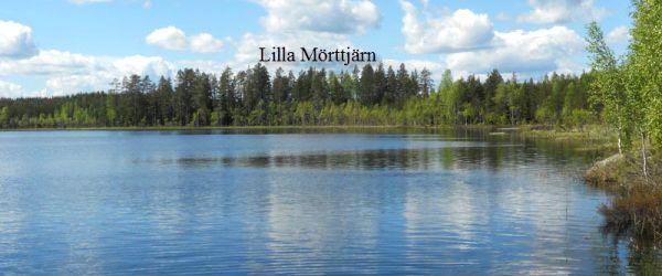 Testeboån, Stora Rönnåstjärn, Lilla Mörttjärn m fl vatten - Image 8
