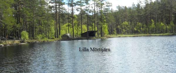 Testeboån, Stora Rönnåstjärn, Lilla Mörttjärn m fl vatten - Image 9