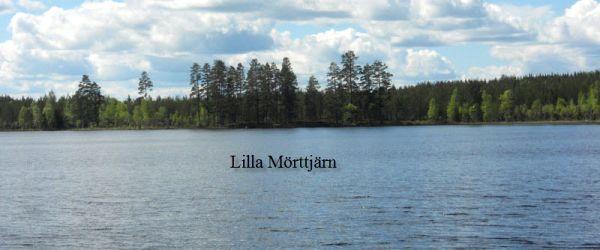 Testeboån, Stora Rönnåstjärn, Lilla Mörttjärn m fl vatten - Image 10