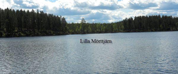 Testeboån, Stora Rönnåstjärn, Lilla Mörttjärn m fl vatten - Image 11