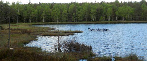 Testeboån, Stora Rönnåstjärn, Lilla Mörttjärn m fl vatten - Image 12