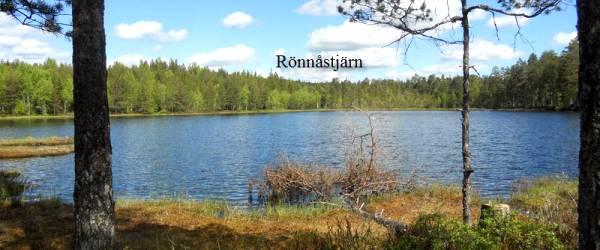 Testeboån, Stora Rönnåstjärn, Lilla Mörttjärn m fl vatten - Image 13
