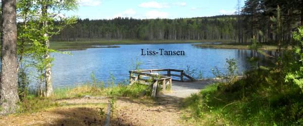 Testeboån, Stora Rönnåstjärn, Lilla Mörttjärn m fl vatten - Image 15
