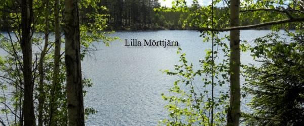 Testeboån, Stora Rönnåstjärn, Lilla Mörttjärn m fl vatten - Image 16