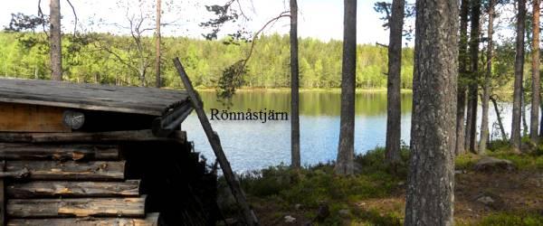Testeboån, Stora Rönnåstjärn, Lilla Mörttjärn m fl vatten - Image 17