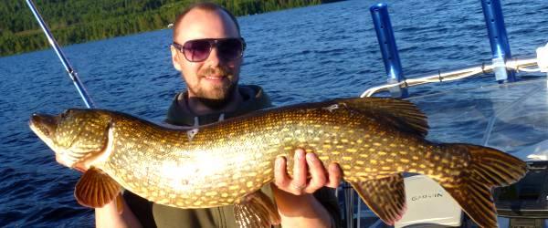 Bergviken, Ondtjärn, Ljusnan, m fl vatten - Image 1