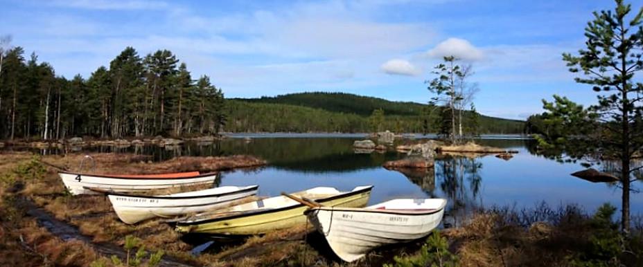 Nykroppa-Storfors FVF (Västra Skärjen mfl vatten) - Image 8