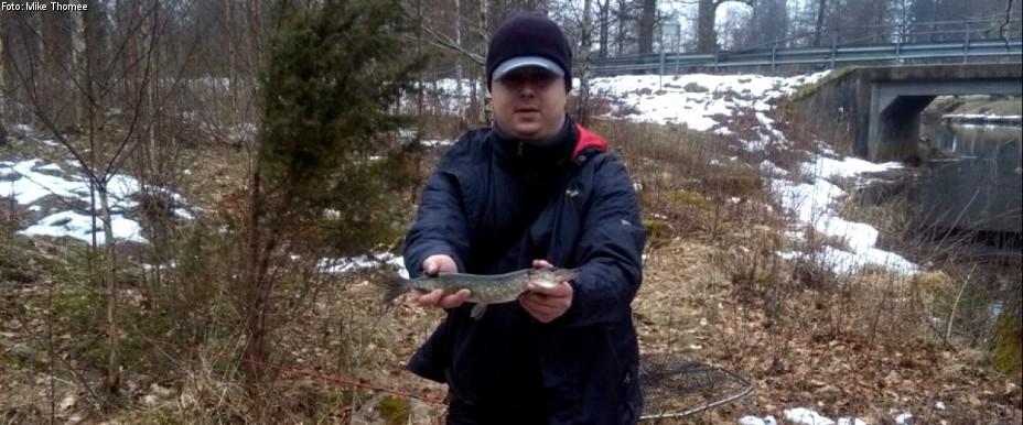 Ronnebyån, Vikholmen, Elften m fl vatten - Image 2