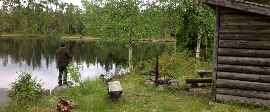 Lillsjön, Myckelgensjösjön, Torrvattnet, Hällvattnet mfl - Image 1