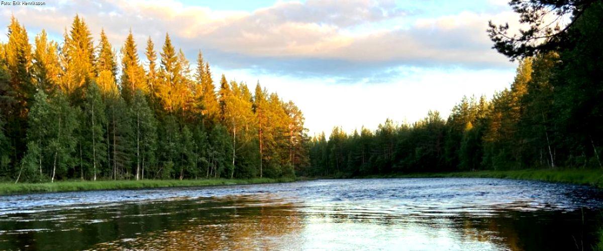 Oreälven, Oresjön - Image 5