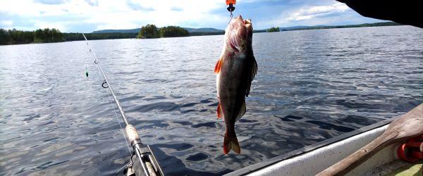 Oreälven, Oresjön - Image 2