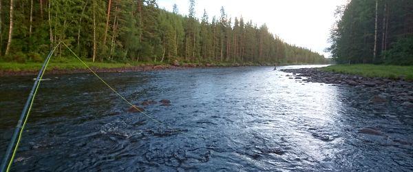 Oreälven, Oresjön - Image 4