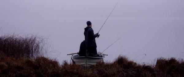Alarpasjöarnas FVOF - Image 2