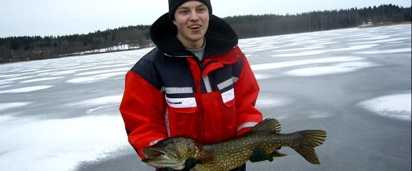 Alarpasjöarnas FVOF - Image 4