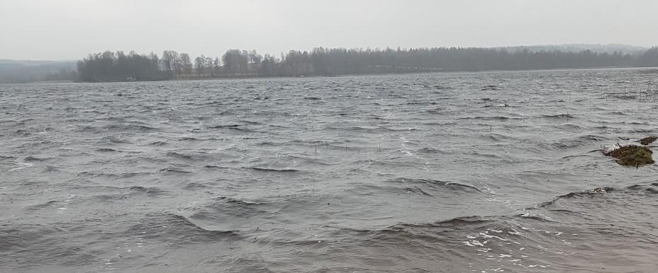 Mogden - Image 3